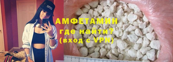 прущие грибы Белокуриха
