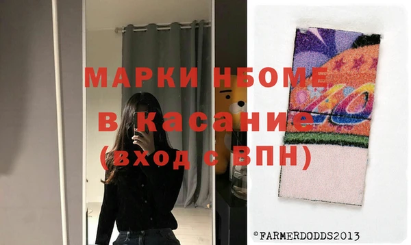 прущие грибы Белокуриха