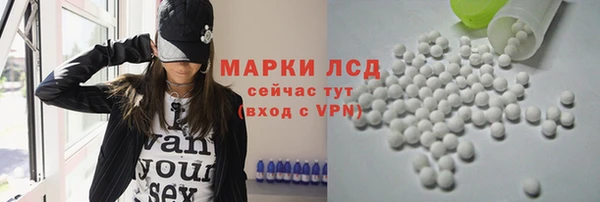 прущие грибы Белокуриха