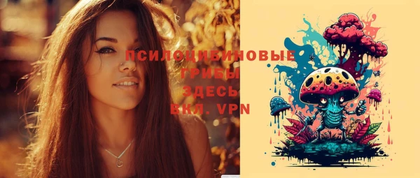 прущие грибы Белокуриха