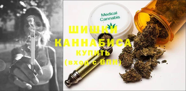 прущие грибы Белокуриха