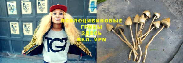 ПСИЛОЦИБИНОВЫЕ ГРИБЫ Беломорск