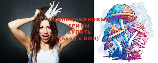 ПСИЛОЦИБИНОВЫЕ ГРИБЫ Беломорск