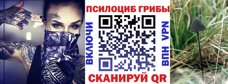 KRAKEN как войти  Ясногорск  Галлюциногенные грибы мицелий 